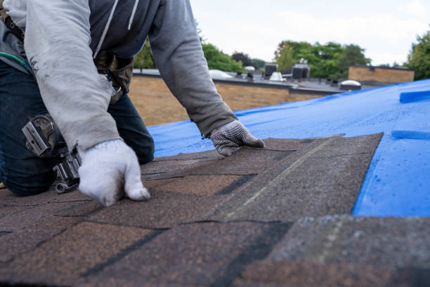 Best Roof Replacement Cost  in Medicine Lodge, KS