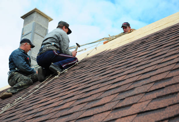 Best Roof Repair Services  in Medicine Lodge, KS